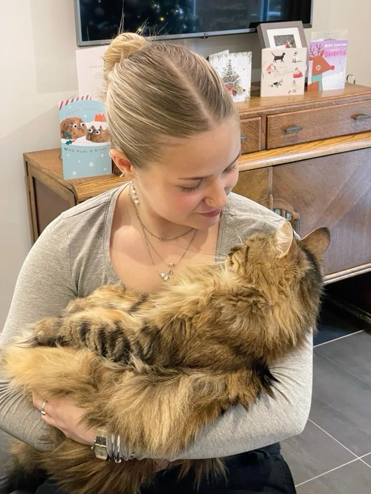 Beautiful Maine Coon kitten