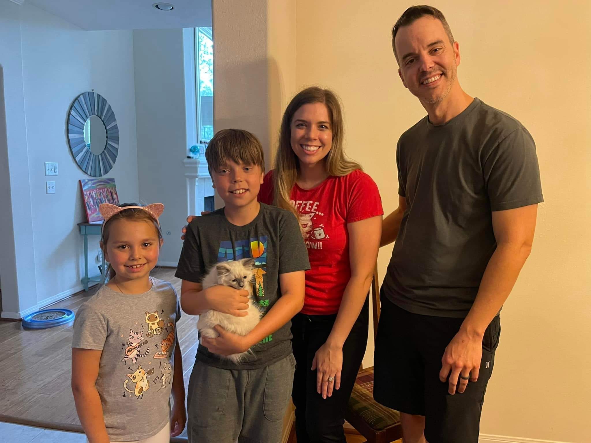 Siamese kitten hero image