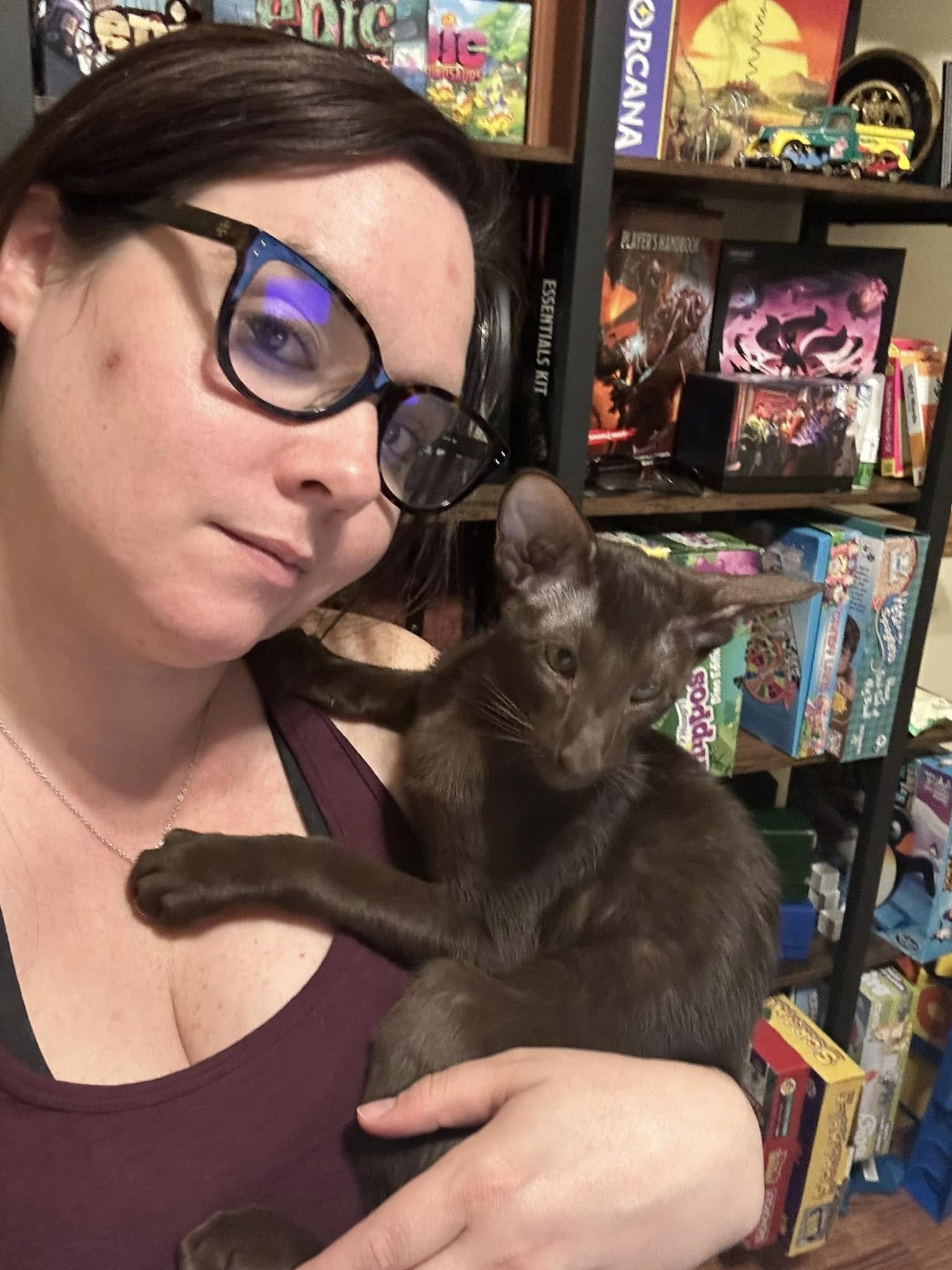 Beautiful Maine Coon kitten