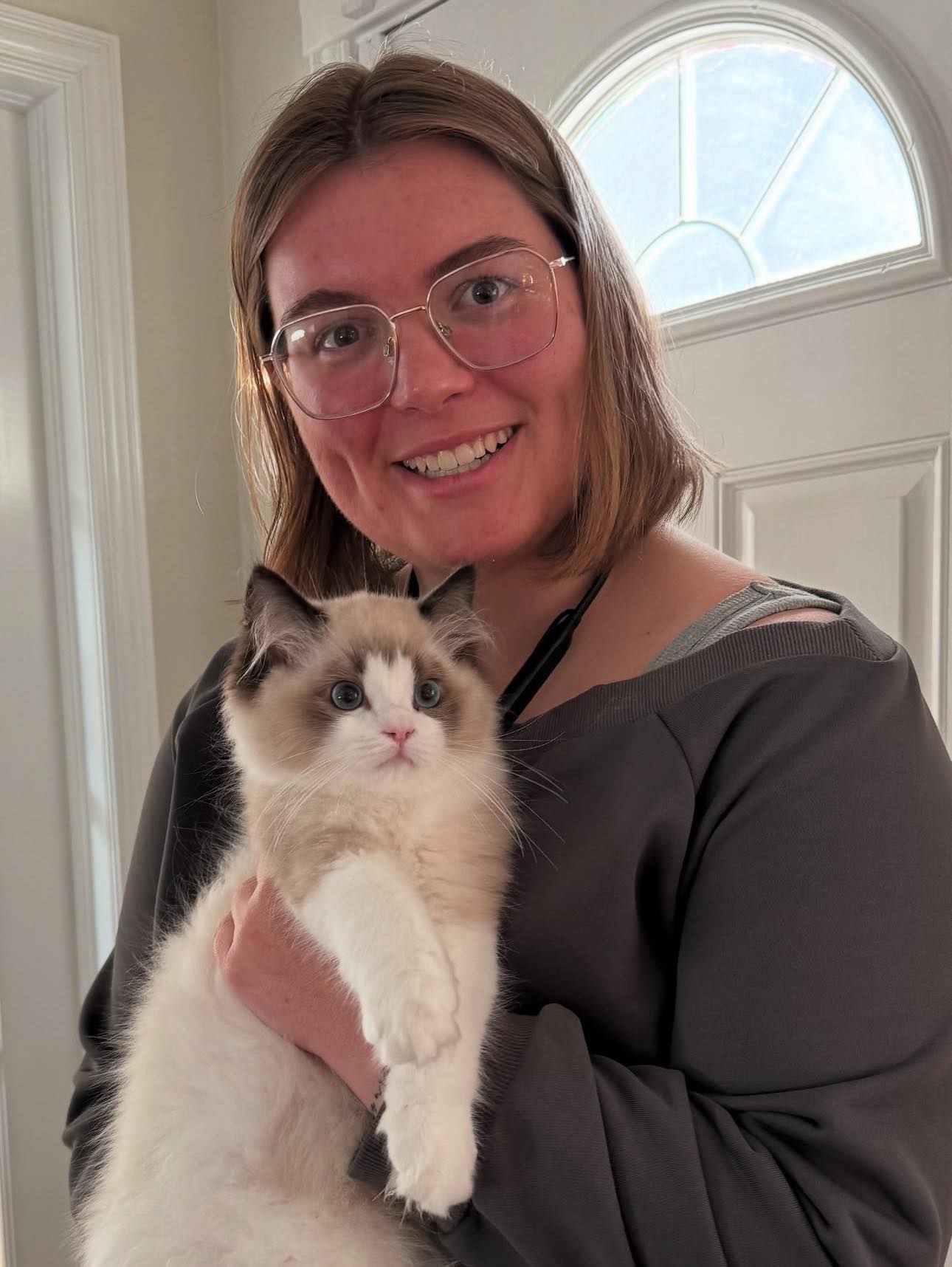 Beautiful Maine Coon kitten