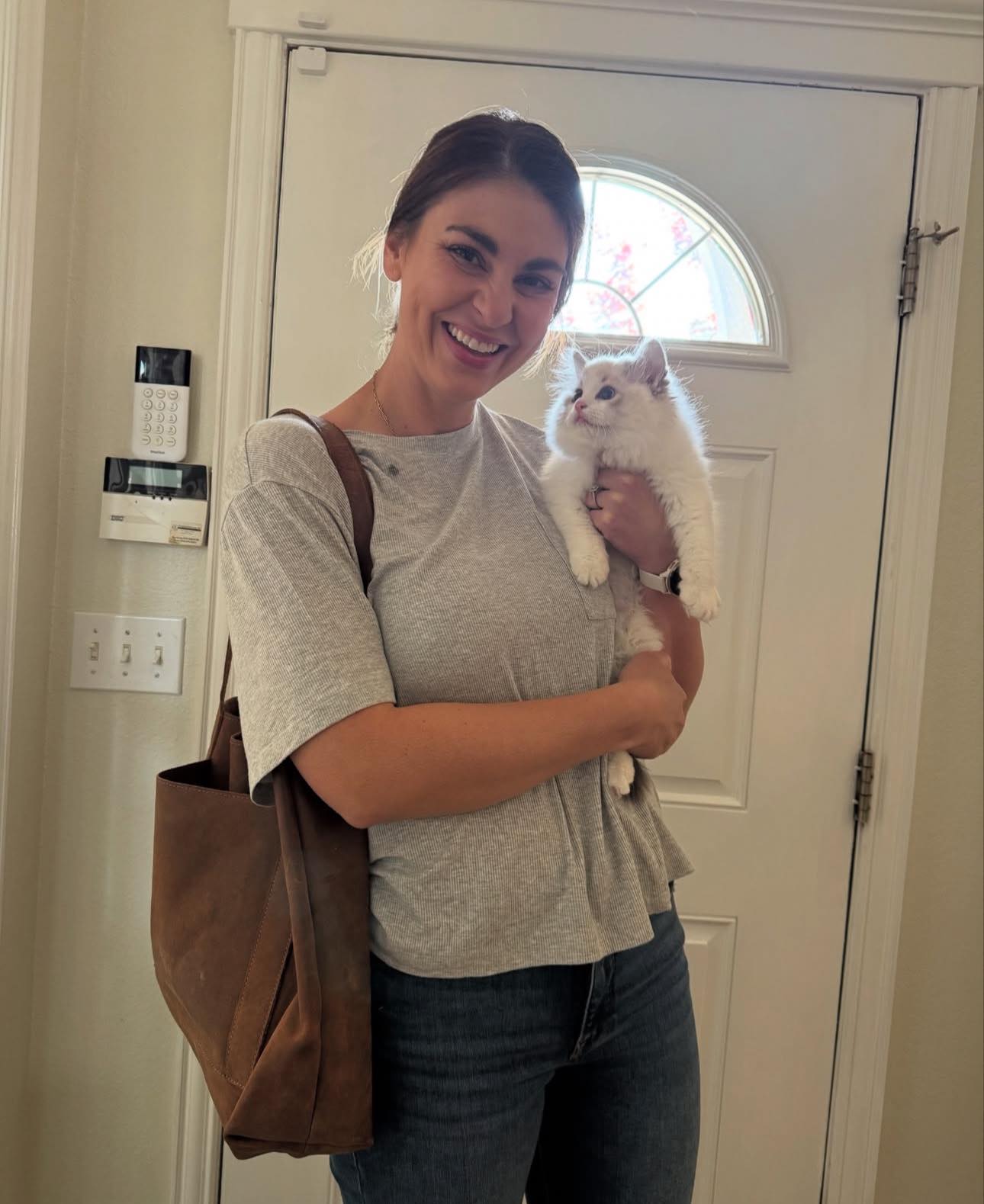 Beautiful Maine Coon kitten