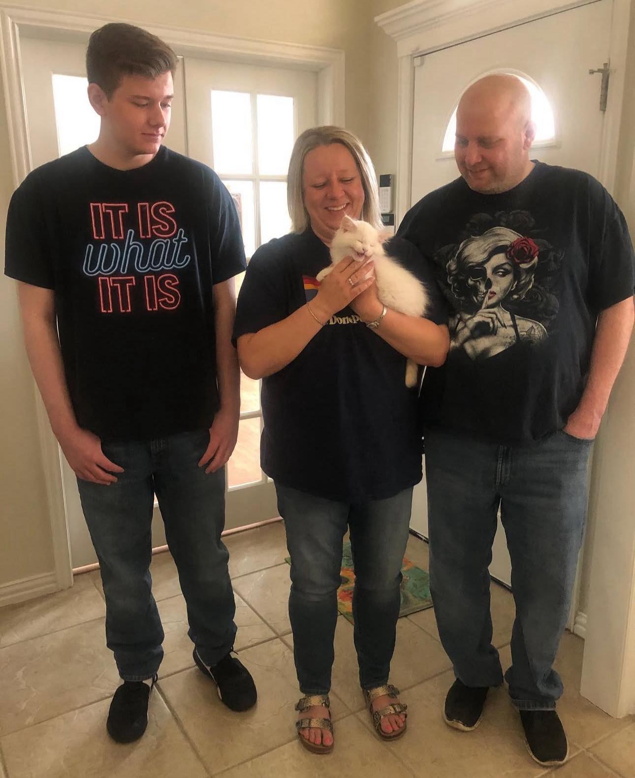 Beautiful Maine Coon kitten